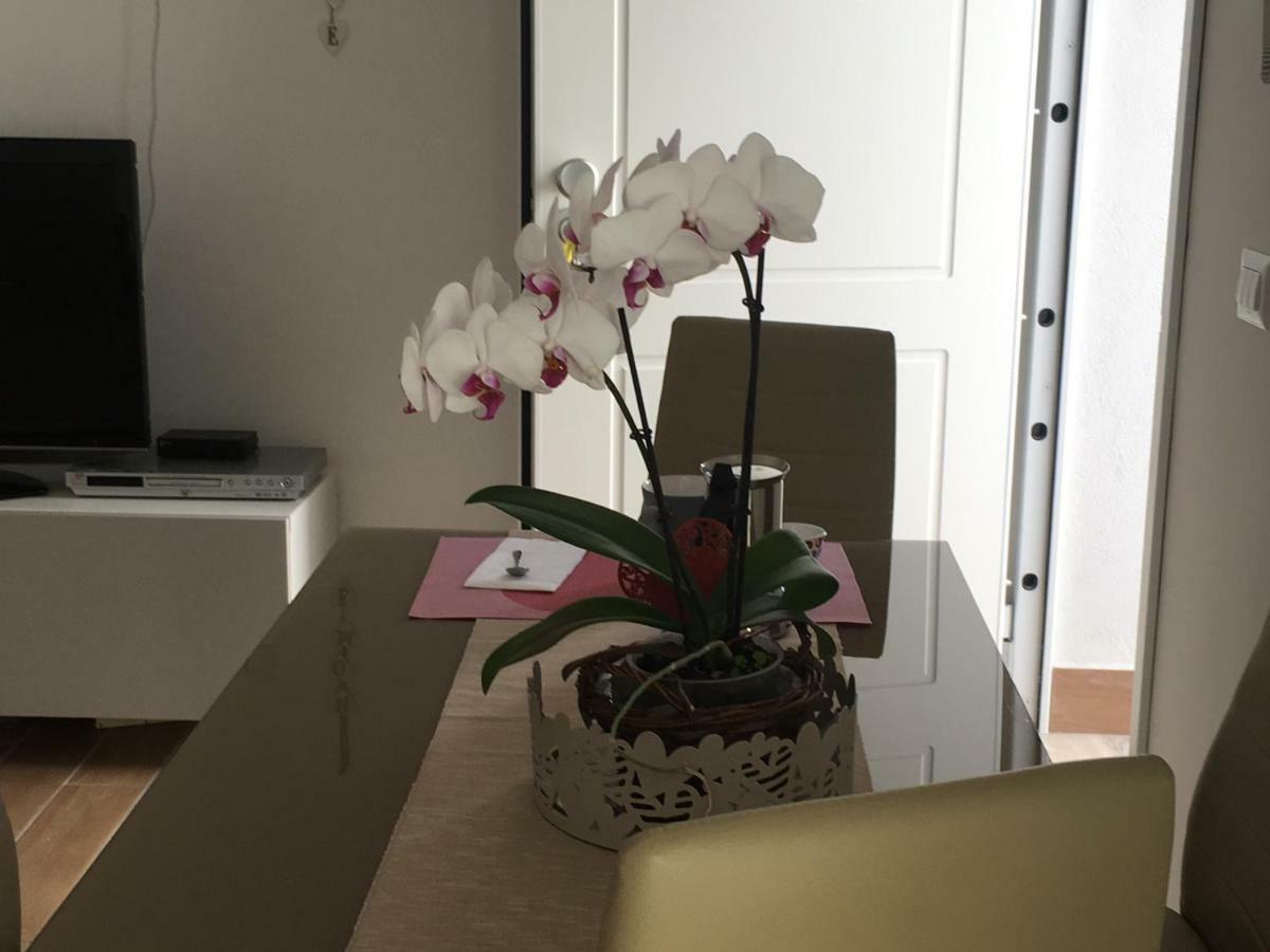The Shabby House - Charming Seaside Retreat In Central Anzio, Steps From Beach And Train Station Exterior foto